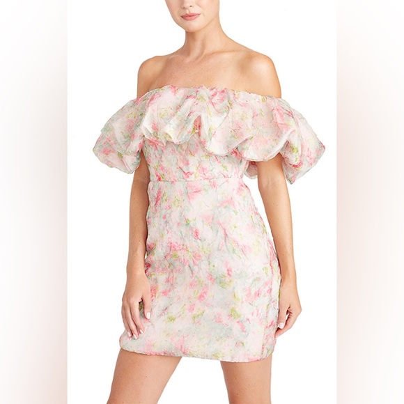 ML MONIQUE LHUILLIER size 2 Off the Shoulder Organza Dress - Picture 3 of 11